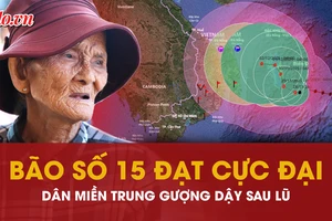 Bão số 15 đạt cực đại, miền Trung oằn mình gượng dậy sau lũ lịch sử