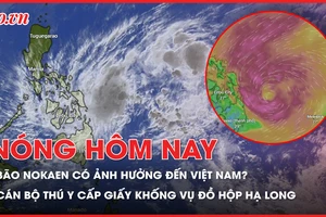 Bão Nokaen có ảnh hưởng đến Việt Nam? Cán bộ thú y cấp giấy khống cho thịt lợn bệnh vụ Đồ hộp Hạ Long