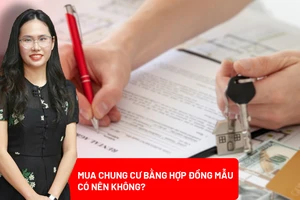 Có nên ký hợp đồng mẫu do chủ đầu tư soạn khi mua căn hộ chung cư?