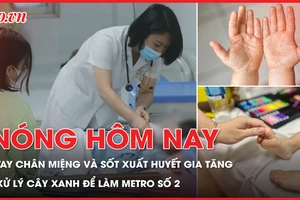 Số ca tay chân miệng và sốt xuất huyết gia tăng; Xử lý hơn 450 cây xanh để làm metro số 2