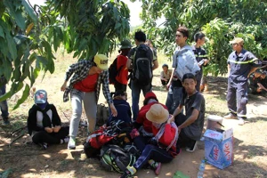 Chuyện 20 SV đi lạc và bé gái một mình băng rừng tìm giúp đỡ