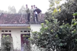 Vây bắt trâu "điên”, 1 người bị húc gãy cả 2 chân