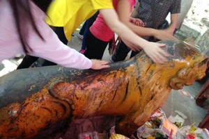 Đổ dầu gió rồi xoa mòn tượng ‘thần hổ'