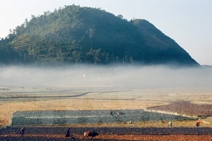 Miền Bắc duy trì thời tiết mưa rét trong 2 ngày nghỉ cuối tuần