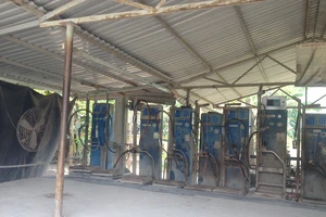 Bắt quả tang một công ty lần thứ 5 sang chiết gas lậu