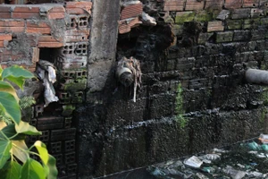 Kênh Gia Định "chết": Chất thải nuôi muỗi, muỗi hại người 