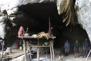 Người từ hang đá viễn xưa