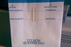 Cho con tè vào túi nôn, ca sĩ Lệ Quyên bị phạt 4 triệu đồng