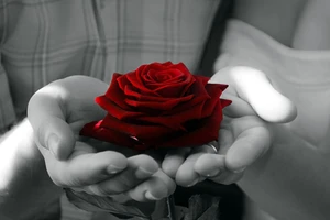 Cuốn sách của cuộc đời…