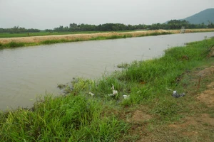 Thiếu úy công an đuối nước khi truy bắt tội phạm 