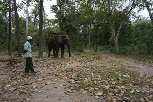 Giám đốc Vườn Yok Don than khó quản lý rừng