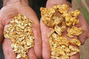 Chủ tiệm kim hoàn run tay với vàng cám