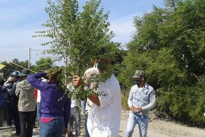 Xử vụ thảm sát Bình Phước: Kẻ gian lợi dụng móc bóp, giật dây chuyền 