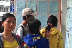 Gần 5.500 việc làm tết chờ sinh viên