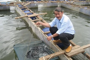 Sự tái xuất của những đại gia từng lĩnh án tử hình