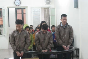 Bán giấy khám sức khỏe giả, thu tiền thật