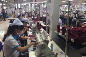 Khách hàng săm soi hàng hóa có bị bóc lột sức lao động