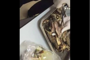 Phát hiện giòi sống trong thức ăn sinh viên