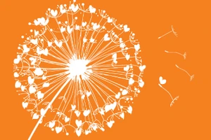 6 dự án vào bán kết "Làm việc tốt cùng nhau – Lan tỏa tử tế"