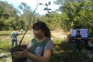 Đi picnic trồng cây gây rừng