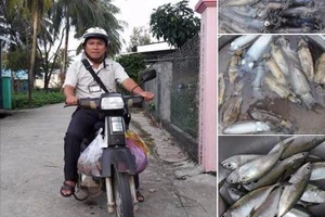 Sao cái nghề cao quý mà xã hội tôn vinh lại trở nên như thế này? 