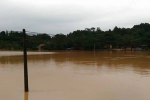 Hà Tĩnh yêu cầu thủy điện Hố Hô ngưng xả nước 