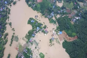 Cô giáo vùng lũ viết tâm thư xin sách cho học trò nghèo