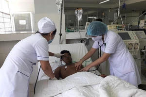 Bị ong vò vẽ đốt 50 mũi, người đàn ông nguy kịch