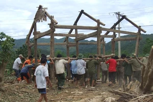 Vất vả gượng dậy sau bão