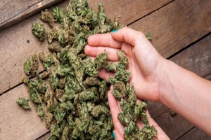 Các chất gây nghiện tồn tại trong cơ thể bao lâu?