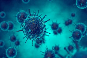 Cúm B có nguy hiểm?