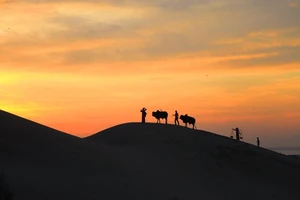 Hé lộ bí mật thú vị nghề... đi trên cát