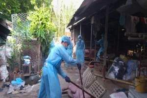 TP.HCM phát hiện ổ dịch tả heo châu Phi đầu tiên 