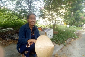 Bà ngoại 71 tuổi đưa cháu đi thi: 'Tui còn sức khỏe, lo chi !'