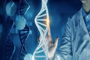 Bất ngờ nguồn gốc người Việt từ công bố nghiên cứu bộ gen