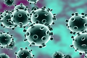 TP.HCM thông tin nhanh một trường hợp dương tính SARS-CoV-2