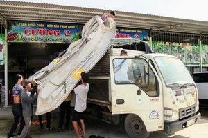 Tương thân tương ái, tài sản lớn nhất của người Việt lúc này 