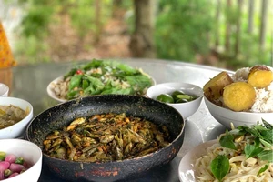 Có mớ cá cấn cá mại, nhớ ngay lá nghệ non góc vườn