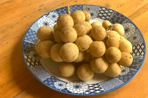 Trái lòn bon ăn hoài mệt nghỉ...