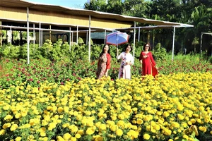 Điểm du xuân đậm đà bản sắc dân tộc 