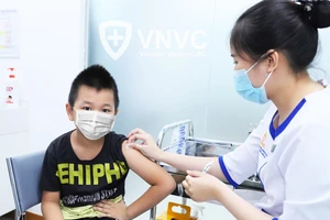 Cảnh báo trẻ mắc viêm não Nhật Bản do muỗi đốt