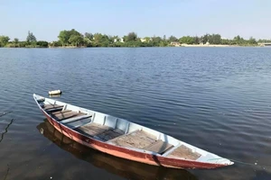 Lỗ mọt trong cộng đồng 