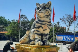 Ngắm "miss mèo" đang nổi trên mạng xã hội