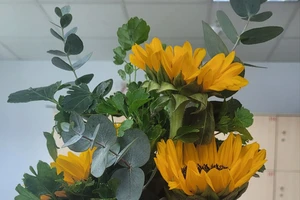 Ngày 20-10, cám ơn gánh hàng hoa của mẹ