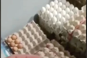 Suất ăn bán trú của học sinh kém chất lượng: Bạn đọc phẫn nộ!