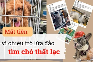 Lợi dụng tình yêu động vật của nhiều người, "cò" tìm chó mèo tung ra nhiều chiêu trò để dẫn dụ người mất chó chi nhiều khoản tiền lên đến hàng chục triệu đồng