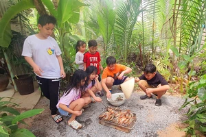 chương trình trại hè