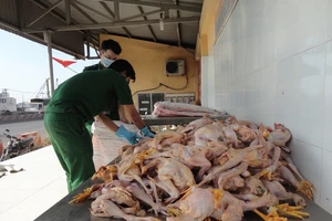 Bắt xe chở 160 kg thịt gà bẩn được tuồn vào TP.HCM