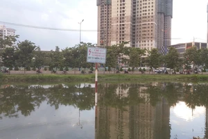 Mặc biển cảnh báo, người dân vô tư buông câu dưới lưới 'tử thần'