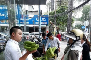 10 ngày tới chuối chín đồng loạt, ai cứu?